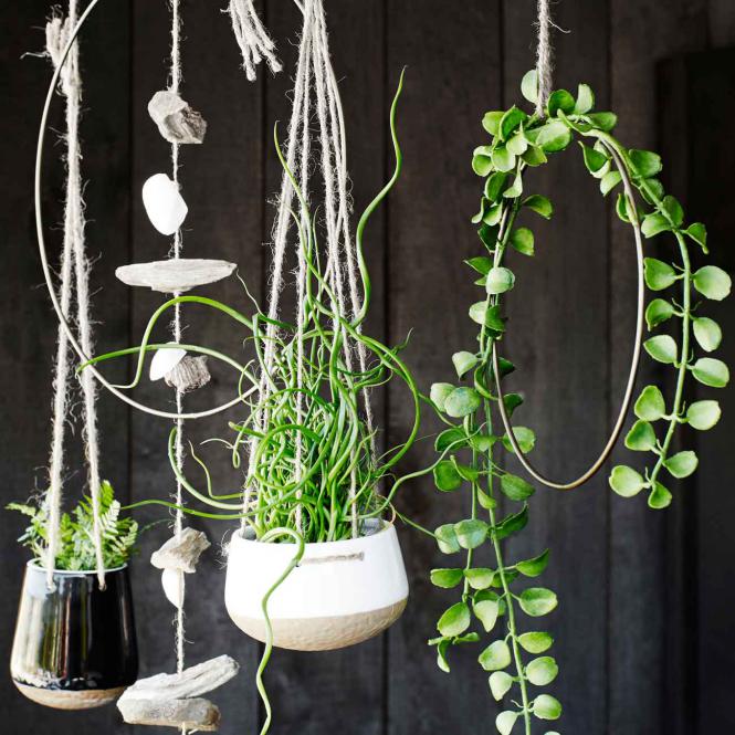 Dekoring für Wand & Fenster, groß 39cm