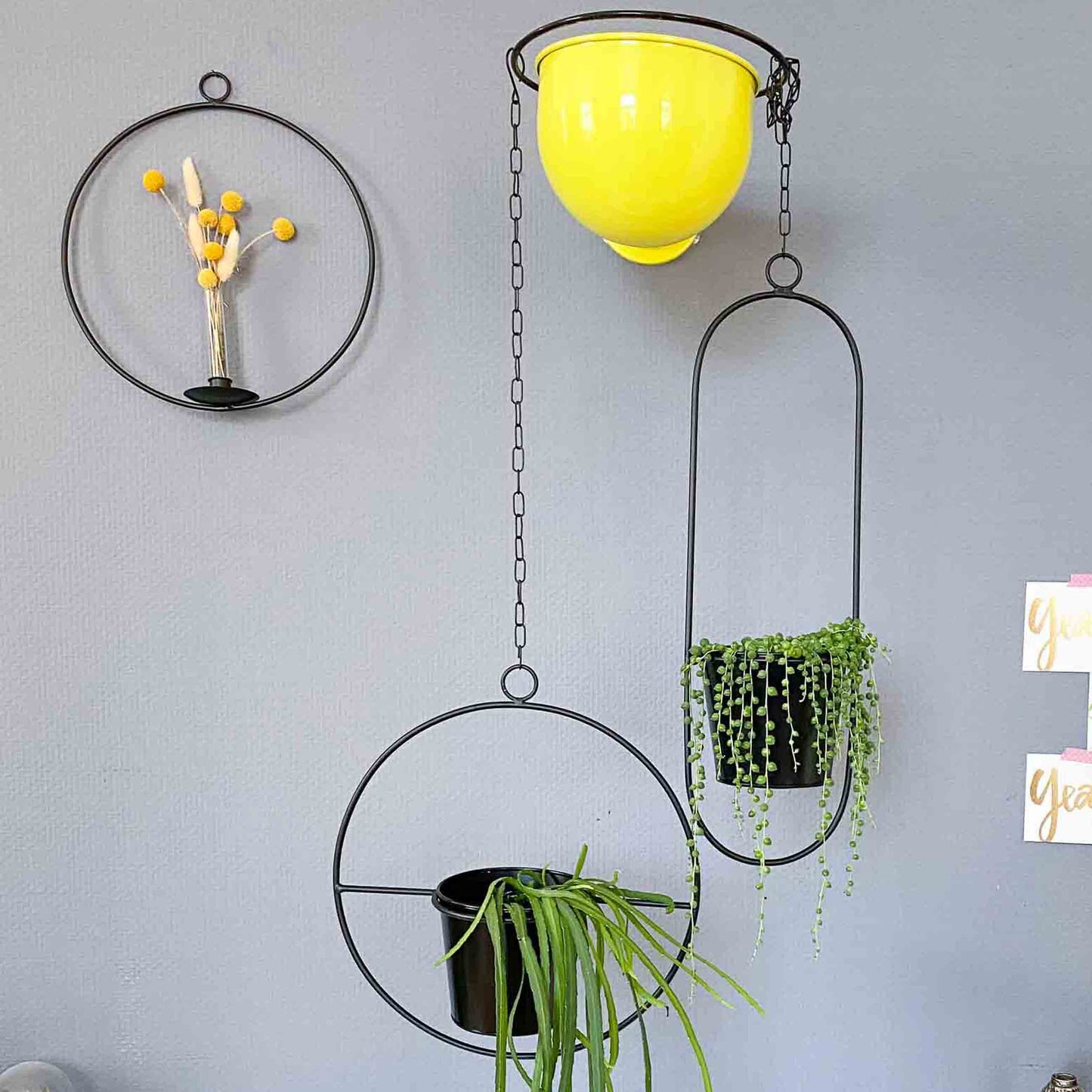 Hängetopf, Dekoring mit Blumentopf "Hanging Garden" Rund, schwarz