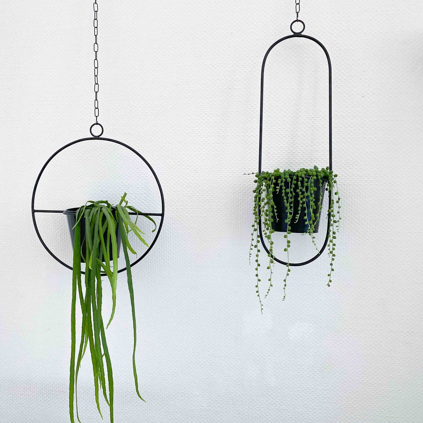 Hängetopf, Dekoring mit Blumentopf "Hanging Garden" Rund, schwarz