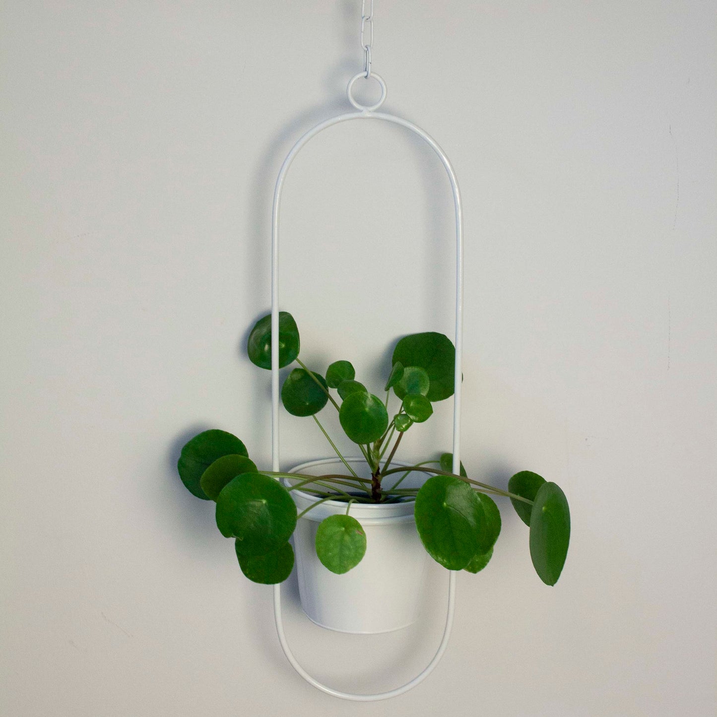 Hängetopf, Dekoring mit Blumentopf "Hanging Garden" Oval, weiß